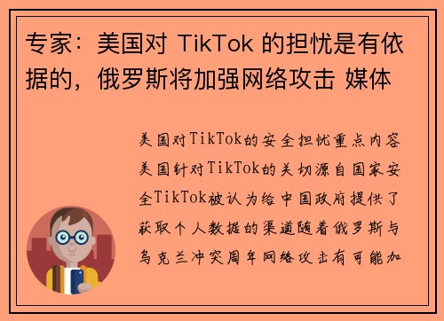 专家：美国对 TikTok 的担忧是有依据的，俄罗斯将加强网络攻击 媒体